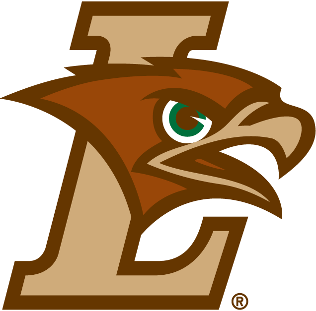 Lehigh Mountain Hawks 2004-Pres Primary Logo DIY iron on transfer (heat transfer)